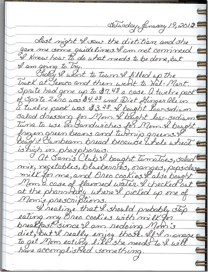 Journal 1-19-20130001