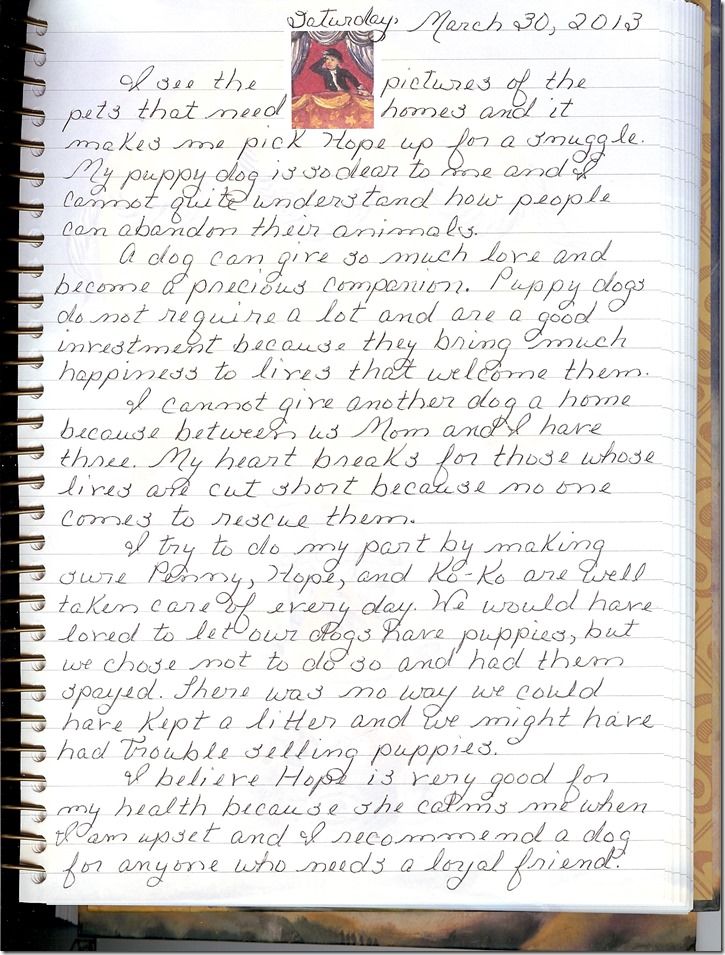 Journal 3-30-20130001