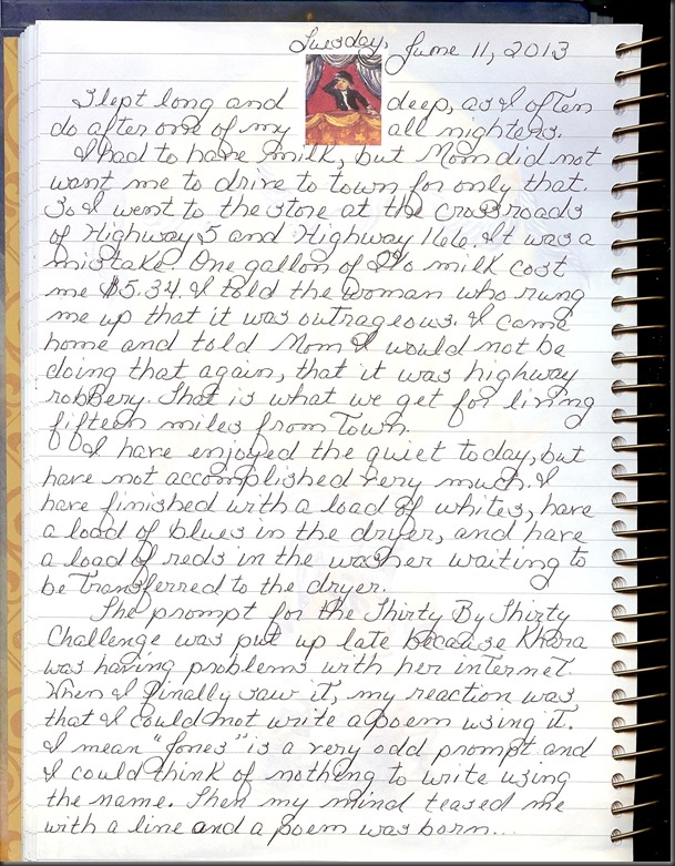 Journal 6-11-20130001