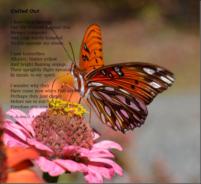 Called Out Butterfly Dreams